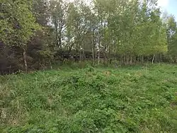 Ruský bunkr zarostený lesem