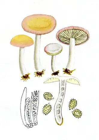 alternativní popis obrázku chybí