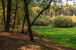 Rybníček Pod Jehlickým vrchem