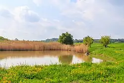 Rybníček u Podhorek