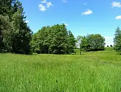 Rybníček u Studeného