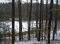 Rozkopaný rybník v zimě