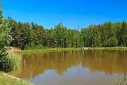 Rybník Češík