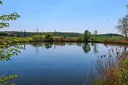 Rybník Čeperka u Kobylice