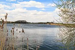 Rybník Říha u Skochovic