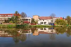 Rybník Řehák v Cholticích