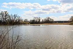 Rybník Žabí Lhotka