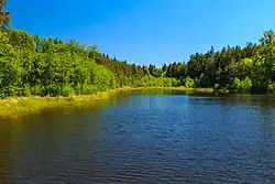 Retenční rybník Cesta myslivců