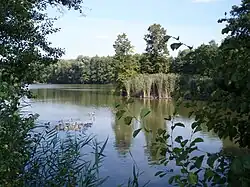 Rybník Datlík (září 2009)