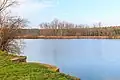 Rybník Davídek u Újezdu u Přelouče