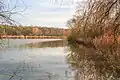Rybník Davídek u Újezdu u Přelouče