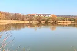 Rybník Ervín u Lična