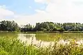 pohled na rybník Heřmánek u Českých Heřmanic