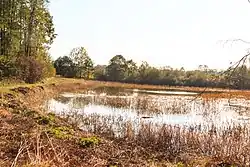 pohled na rybník Jezírko u vesnice Loučky