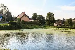 Rybník Komárek v Přívratu