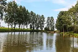 Rybník Mazanec u Uherska