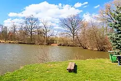 Rybník Myslivec u Skřivan