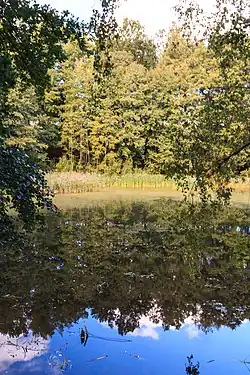 Rybník Očko ve Sloupu v Čechách