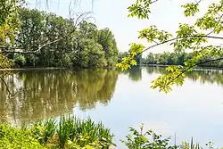 rybník Ohrádka u Hostovic