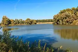 Rybník Pátek v Budě u Bakova