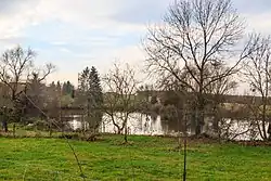 Rybník Příkop u Malých Výklek