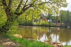 Rybník Pelíšek u Sovoluské Lhoty