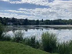 Svojšický rybník a východní část obce