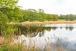 rybník Třešňovec u Lipoltic