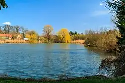 Rybník Tahounek v Barchově