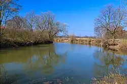 Rybník Tišina u Labětína