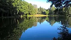 Rybník v létě 2016