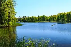 pohled na rybník Výskyt