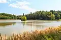 Pohled z hráze na jižní břeh rybníka