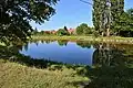 Rybník Za Koláčkovým