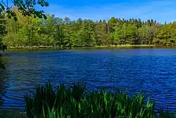 rybník Zabloudil u osady Ledec