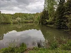 Rybník pod pramenem Davídky