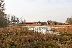 Březinský rybník u Volče