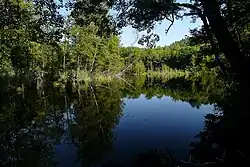 Rybníček v přírodní památce Valcha