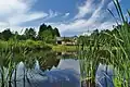 Rybník v Pavlovském Dvoře