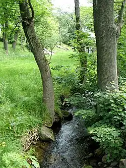 Rybný potok v Krásném Lese