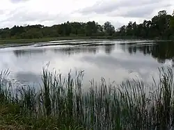 Rybník na Karapolisu/Malūndaubė ve vsi Karapolis