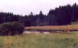 Rybníček U překopané hráze při pohledu z rašeliniště