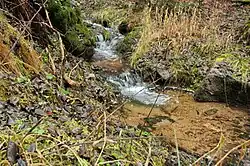 Pod Paseckým vrchem