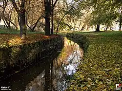 Mleczna ve Starym Ogrodzie