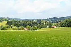 Rzy u Nového Hrádku