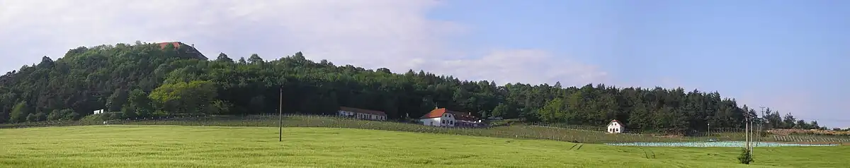 Panorama vrchu, zámku a vinic od jihu