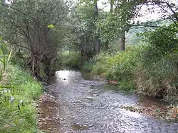 Sázavka u Světlé nad Sázavou