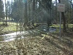 Potok na bavorsko-česko-saském trojmezí