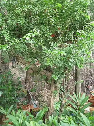 alternativní popis obrázku chybí