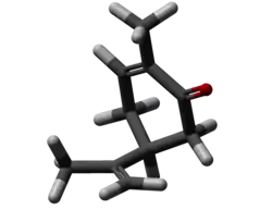 Model molekuly (S)-karvonu